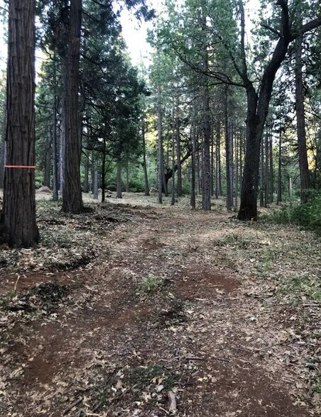 More Photos Of 1989 Tract Shingletown Ridge Rd, Shingletown Land For Sale