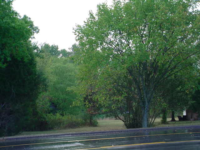 More Photos Of 219 W Church St, Richfield Land For Sale