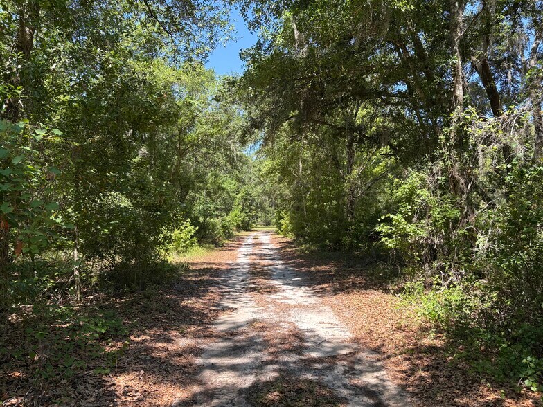 More Photos Of 0 Greenbriar Rd, Lakeland Land For Sale
