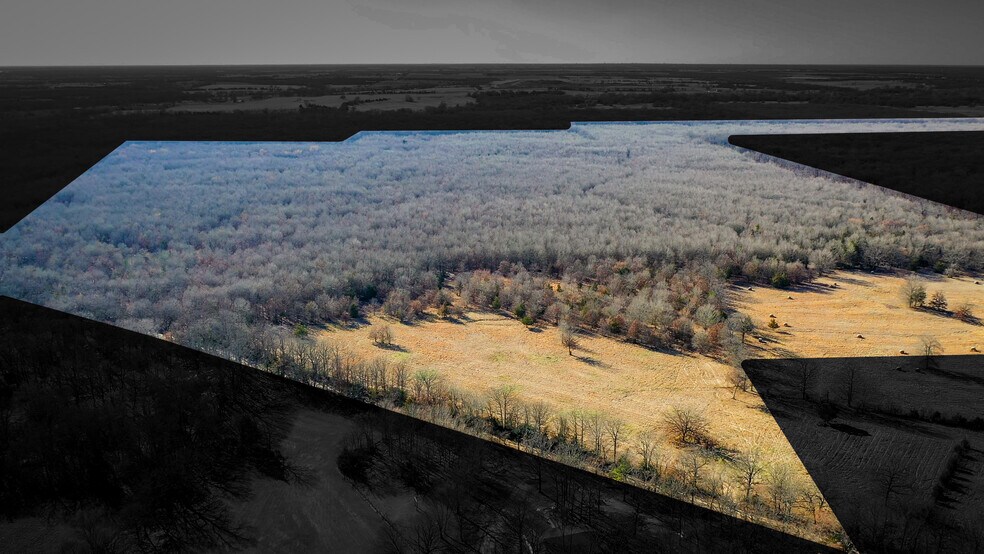 More Photos Of 1200 County 1255 rd, Detroit Land For Sale