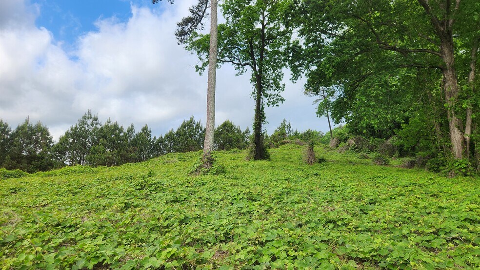 More Photos Of Near 5370 Deerfoot Parkway Pky, Trussville Land For Sale