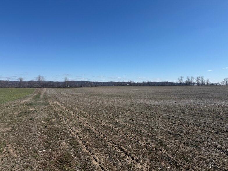 More Photos Of 000 State Route 156, Valmeyer Land For Sale