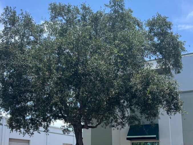 More Photos Of 2721-2737 NW 19th St, Pompano Beach Showroom For Sale