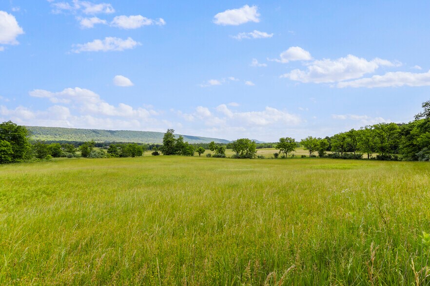 More Photos Of 3648 Dominion Rd, Gerrardstown Land For Sale