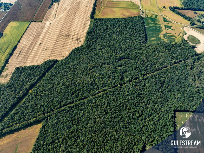 More Photos Of 5675 Millers Mill rd, Philpot Land For Sale