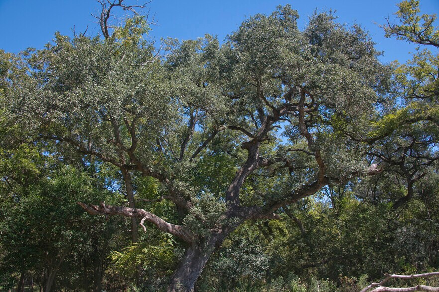 More Photos Of 145 Spring Rd, San Marcos Land For Sale