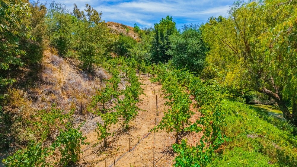 More Photos Of 38831 Pauba Rd, Temecula Land For Sale