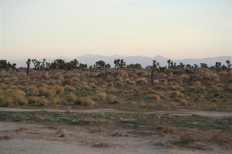 More Photos Of 16000 W Avenue B, Lancaster Land For Sale