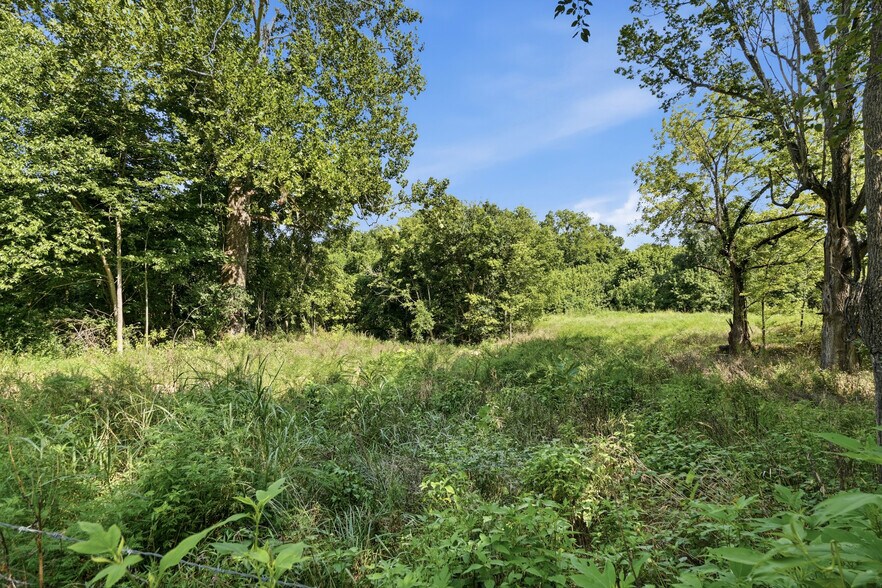 More Photos Of Puppy Creek Rd, Lowell Land For Sale
