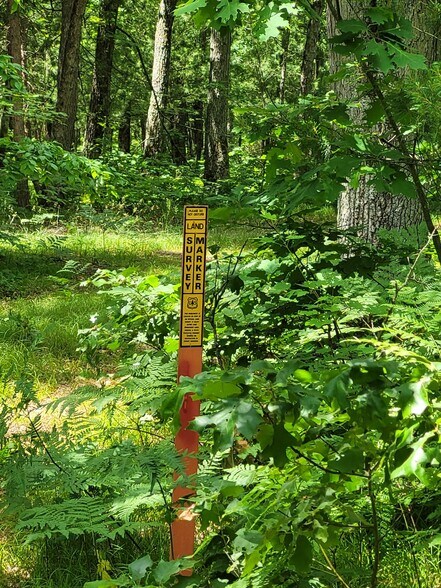 More Photos Of M-55 & M-37, Wellston Land For Sale