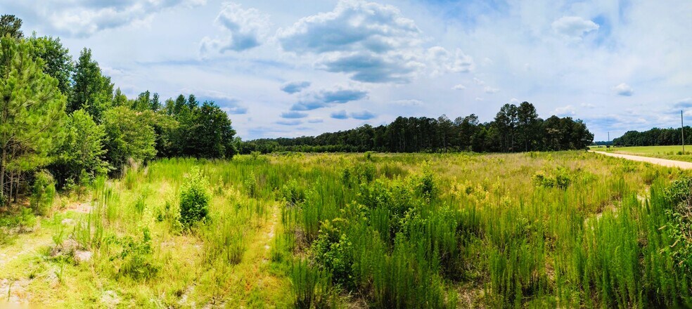 More Photos Of Balfour Road & McNeill Lake Rd, Lumber Bridge Land For Sale
