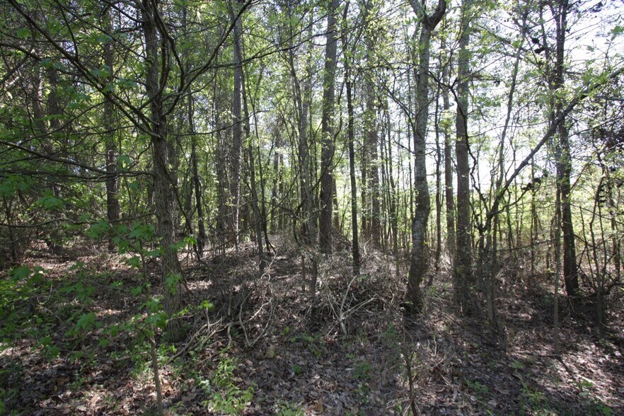 More Photos Of 331 Rosedale Dr, Hiram Land For Sale