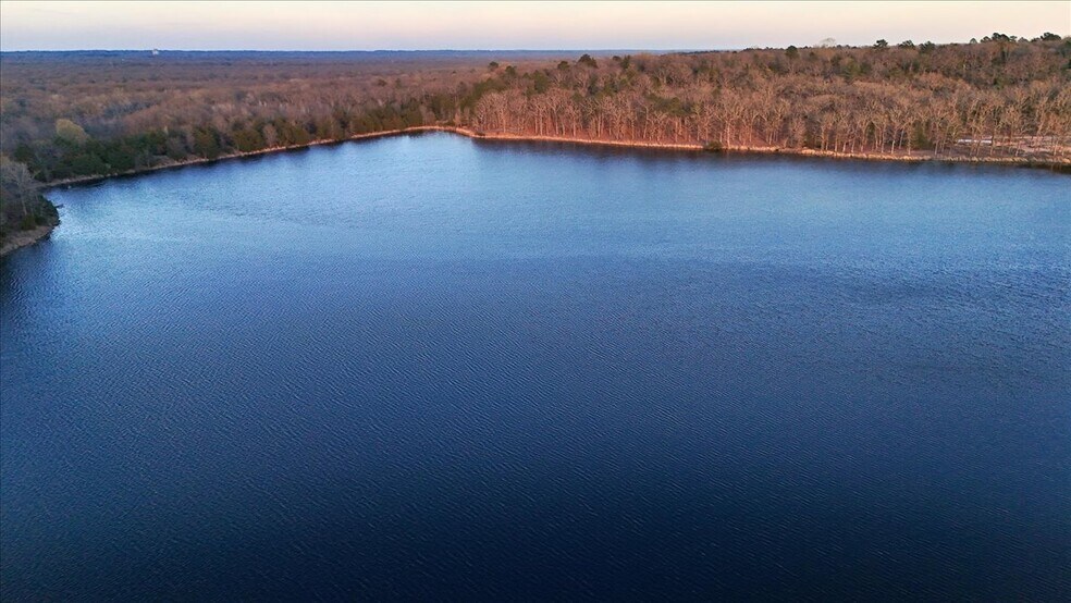 More Photos Of 23782 Holiday Pine dr, Mineola Land For Sale