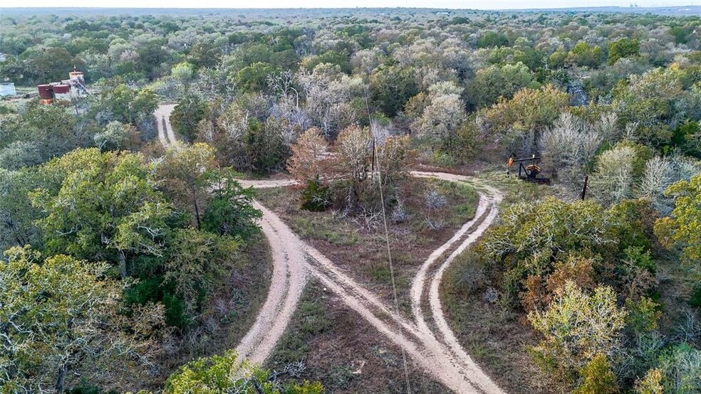 More Photos Of 137 Shady Oaks Loop, Cedar Creek Land For Sale