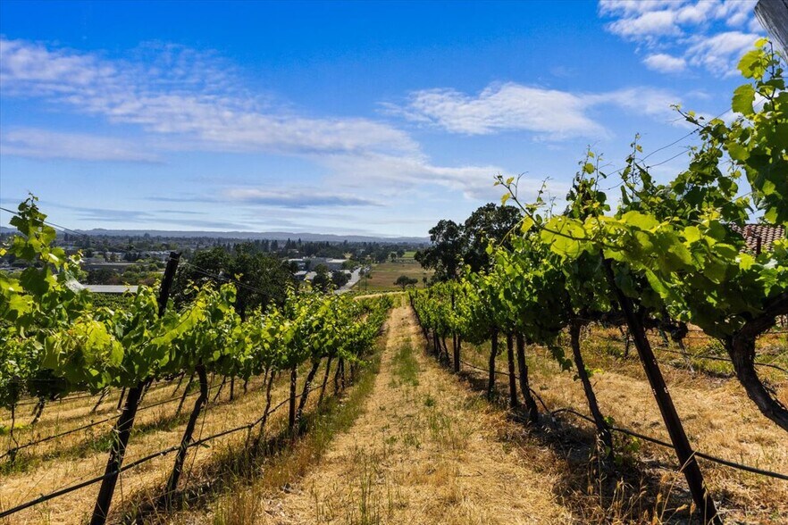 More Photos Of 4076-4080 Old Redwood Hwy, Santa Rosa Winery Vineyard For Sale