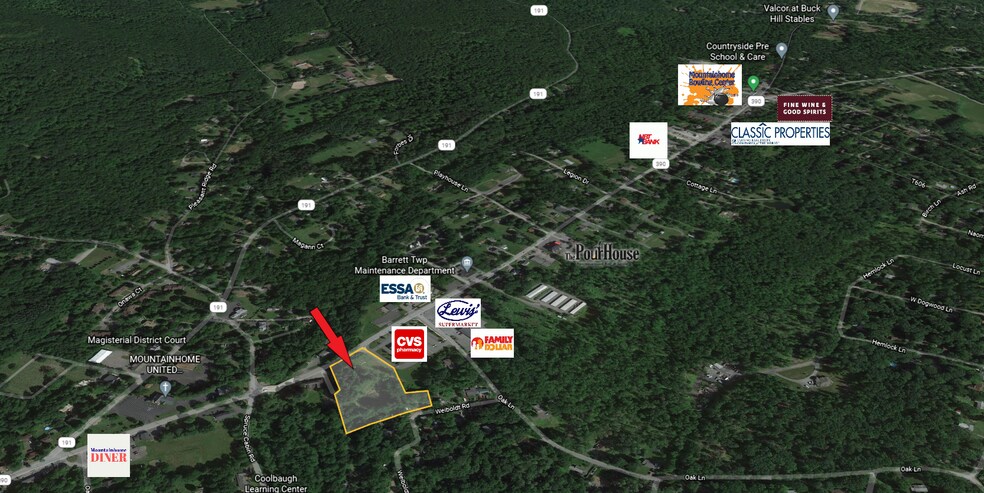 Primary Photo Of Weibolt Rd & Route 390, Mountainhome Land For Sale