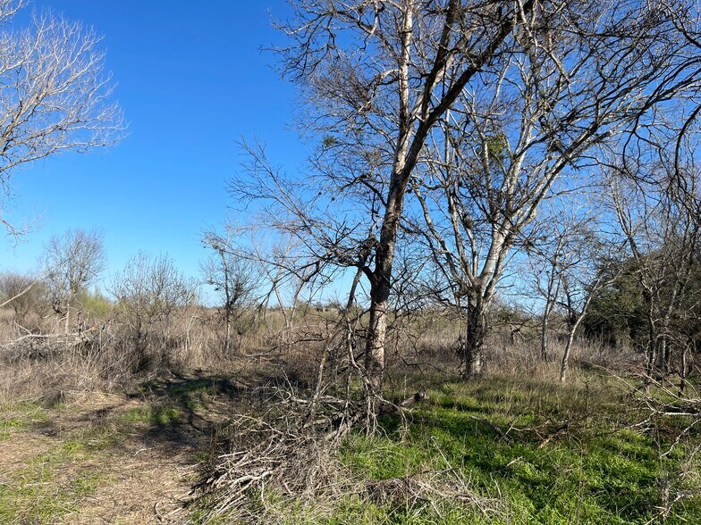 More Photos Of 54 Acres Trainer Hale, Schertz Land For Sale