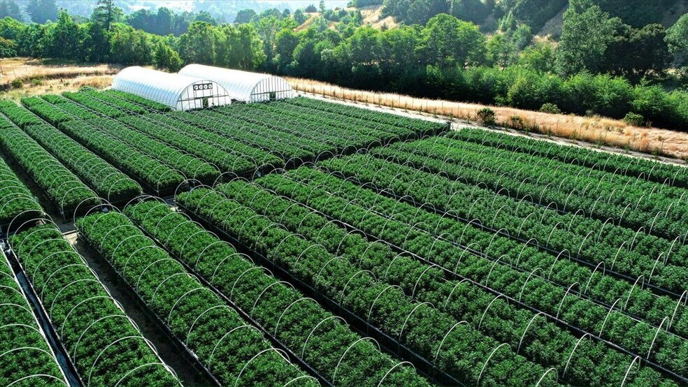 More Photos Of 220 Wilder Ridge rd, Honeydew Land For Sale