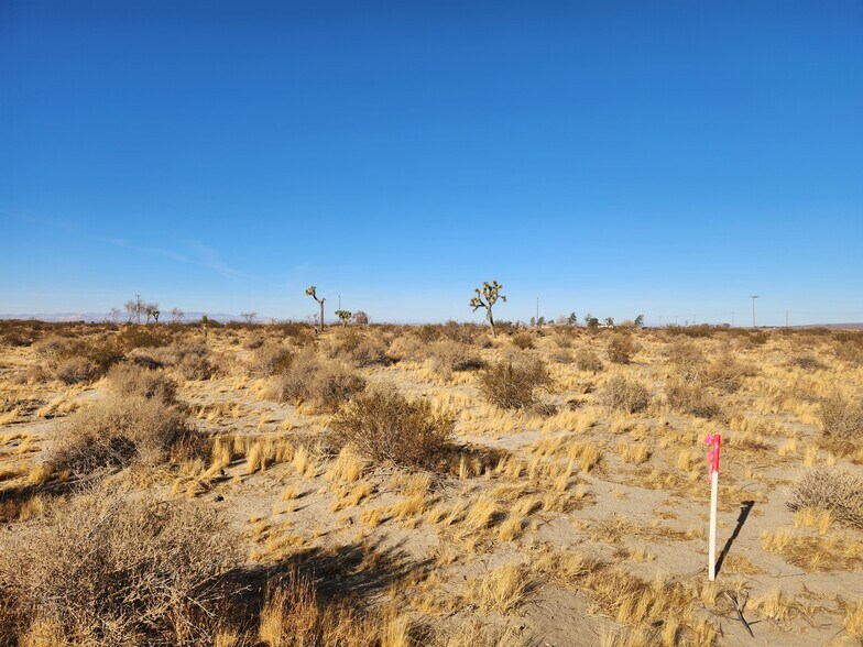 More Photos Of 8 Acres on Ave K ave, Lancaster Land For Sale