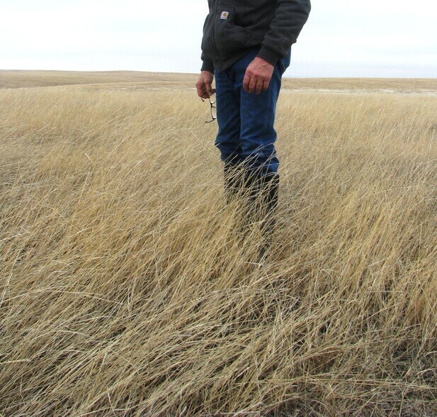 More Photos Of 27522 244th St, Murdo Land For Sale